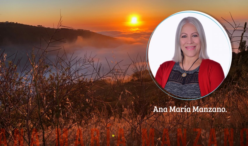 Digestivo, Ginecología, Andrología y Obstetricia
